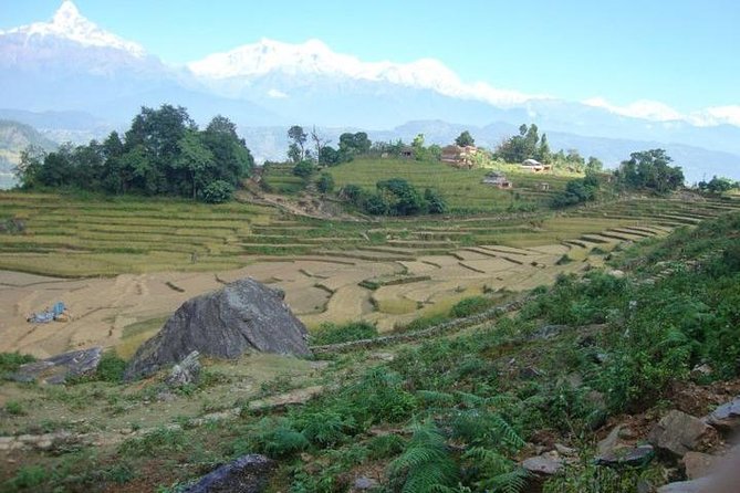 2 Days Panchase Hill Trek from Pokhara - What to expect in the guesthouse overnight at Panchase