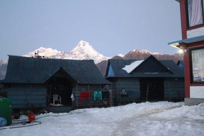 2 Days Very Short Poon Hill Trek from Pokhara - Day 1 to Ghorepani: scenic travel, forest walking, and village vibes