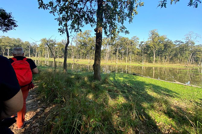 2 Hours Nature Walk in Chitwan National Park - Key things that make this Chitwan nature walk worth your time