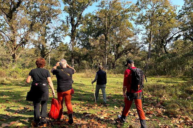 2 Hours Nature Walk in Chitwan National Park - Meeting your jungle guide, and why it changes what you see