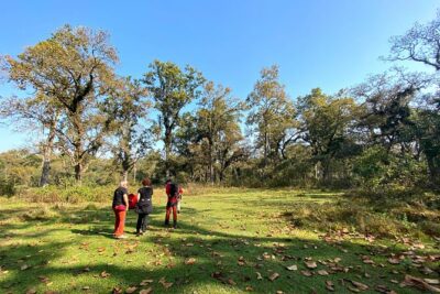 2 Hours Nature Walk in Chitwan National Park