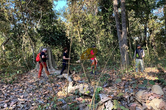2 Hours Nature Walk in Chitwan National Park - The practical itinerary: pickup, walk, then you are back to your hotel