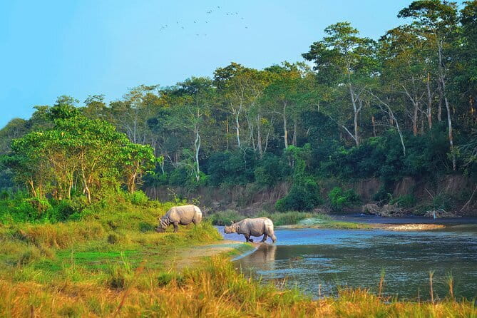 2 Night 3 Day Chitwan Jungle Safari Tour from Pokhara - Key highlights worth your attention