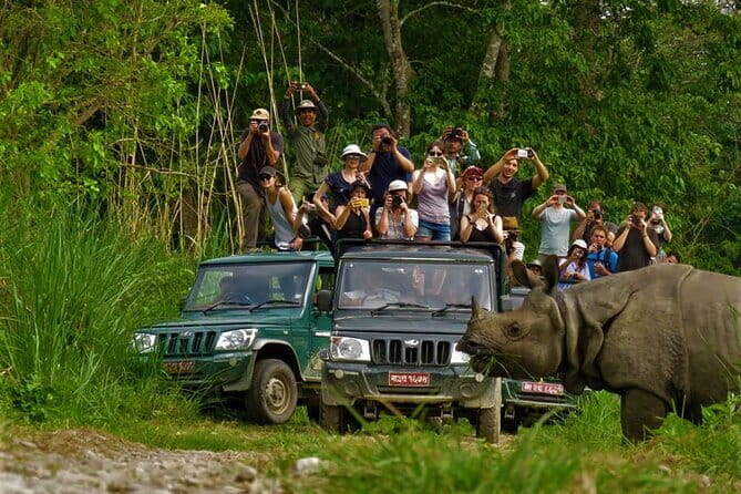 2 Night 3 Day Chitwan Jungle Safari Tour from Pokhara - Chitwan by jeep: the viewing style that pays off