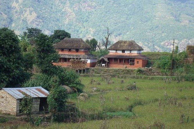 2 Night 3 Day Chitwan Jungle Safari Tour from Pokhara - Tharu cultural engagement: a genuine break from animal spotting