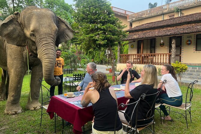 2 Nights 3 Days Chitwan National Park Package with Jeep Safari - What to know about the included safari experiences