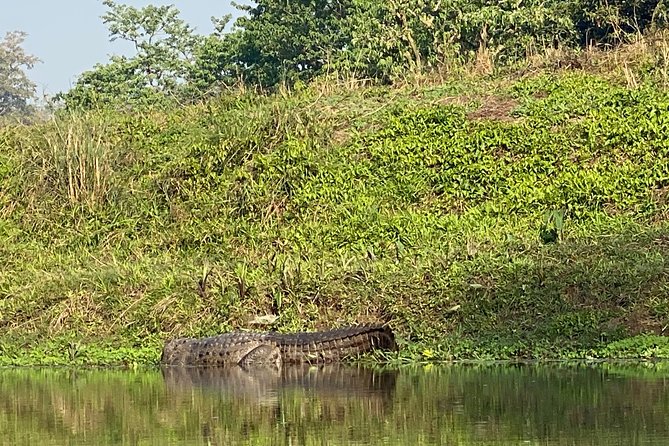 2 Nights 3 Days Chitwan Safari Tour from Kathmandu or Pokhara - Getting from Kathmandu or Pokhara to Chitwan without stress