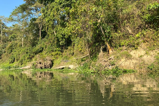 2 Nights 3 Days Chitwan Safari Tour from Kathmandu or Pokhara - Service quality: when things go well, it can feel personal