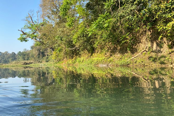 2 Nights 3 Days Chitwan Safari Tour from Kathmandu or Pokhara - Who this tour fits best (and who should choose something else)