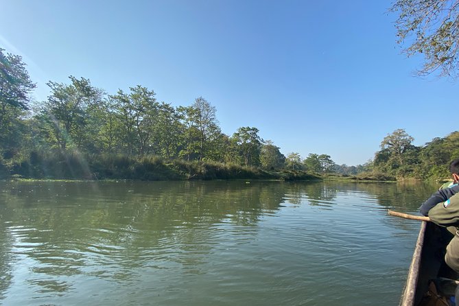 2 Nights 3 Days Chitwan Safari Tour from Kathmandu or Pokhara - Day 2: Jeep safari, jungle museum, and the Tharu culture show