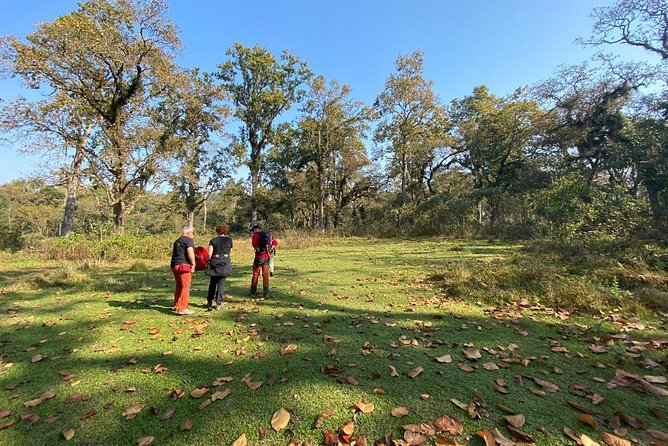 2 Nights 3 Days Chitwan Wildlife Jungle Safari Package Tour - Key highlights you will actually feel