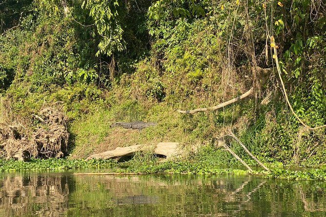 2 Nights 3 Days Chitwan Wildlife Jungle Safari Package Tour - Price and what $192 covers in the real world