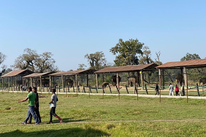 2 Nights 3 Days Chitwan Wildlife Jungle Safari Package Tour - Day 1 in Chitwan: Tharu village, visitor center, Rapti sunset, and cultural dance