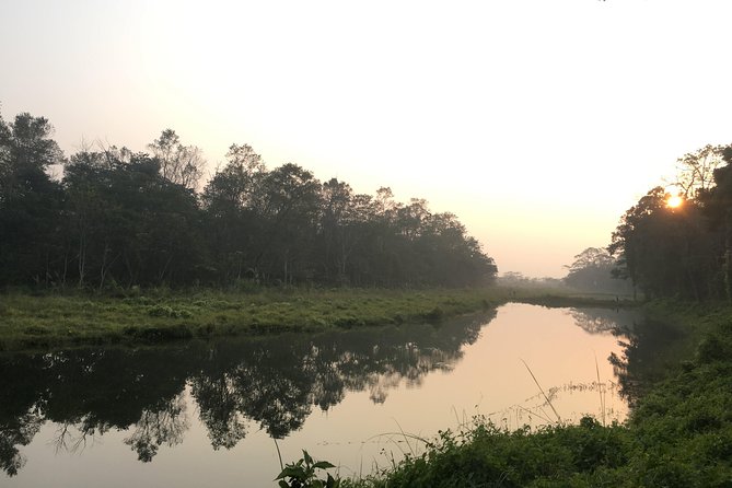 2 Nights 3 Days Chitwan Wildlife Jungle Safari Package Tour - Day 3 birdwatching plus a smooth return to Kathmandu or Pokhara