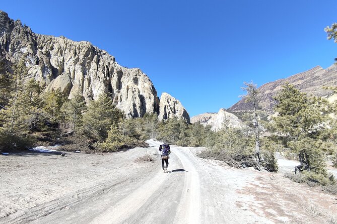 20 Days Annapurna Circuit Trek - Tatopani and Ghorepani: forest returns, plus a famous bridge crossing