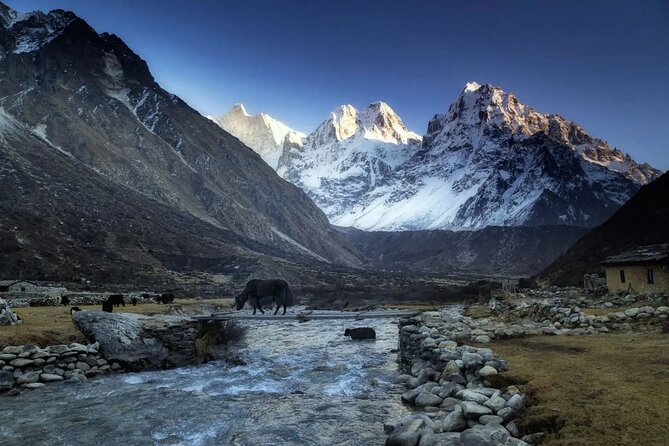 20 Days Private Kanchenjunga Circuit Trek - Lhonak and Pangpema North Base Camp at 5,140 meters: when the trek turns real
