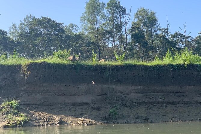 3-Day All Inclusive Chitwan Jungle Safari Tour From Kathmandu - How the Safari Mix Improves Your Odds (Canoe, On Foot, Jeep)