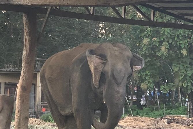 3-Day All Inclusive Chitwan Jungle Safari Tour From Kathmandu - Day 1 and Day 3: The Travel Parts That Still Matter