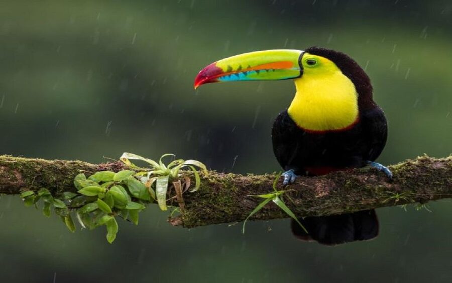3-Day Chitwan Jungle Safari Adventure From Kathmandu/Pokhara - Getting to Sauraha from Kathmandu or Pokhara takes a full day of travel