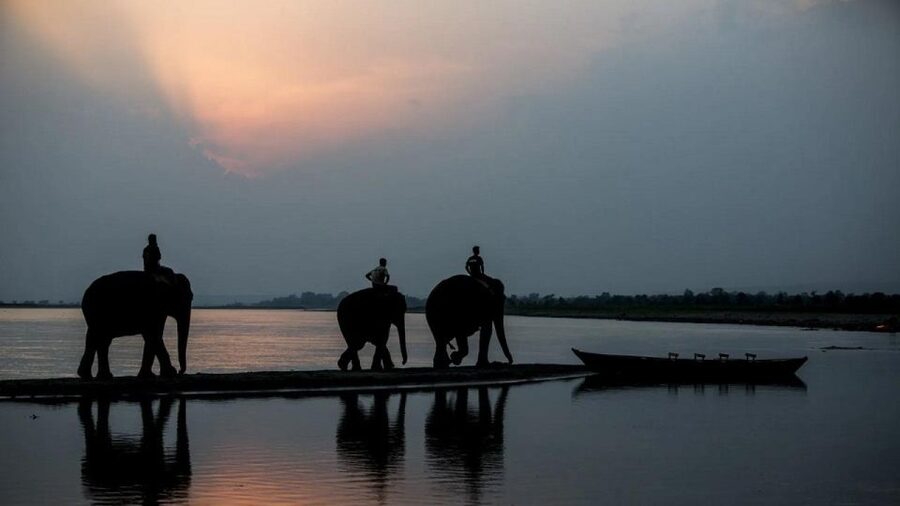 3-Day Chitwan Jungle Safari Adventure From Kathmandu/Pokhara - Who this Chitwan Jungle Safari adventure fits best