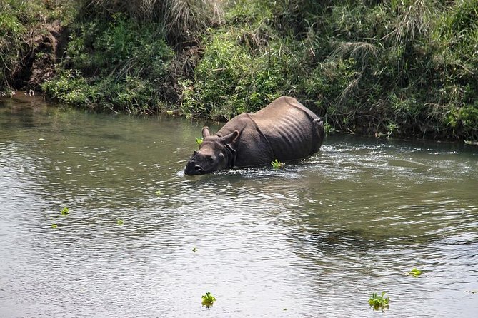 3-Day Chitwan Jungle Safari Tour from Kathmandu - Getting from Kathmandu to Chitwan: early morning, real time on the road