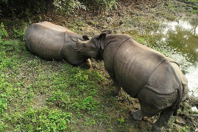 3-Day Chitwan Jungle Safari Tour from Kathmandu - What to pack and how to behave for better wildlife viewing