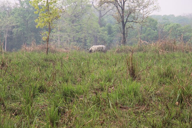 3-Day Chitwan National Park Jungle Safari Tour Package with Pick Up - The Safari Package Mix: Jeep Safari, Jungle Walk, and Cultural Show