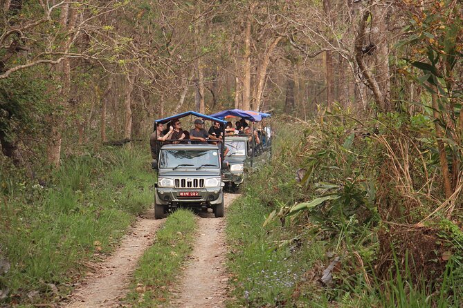 3-Day Chitwan National Park Jungle Safari Tour Package with Pick Up - Where You Sleep and Eat: Three-Star Resort, Included Meals