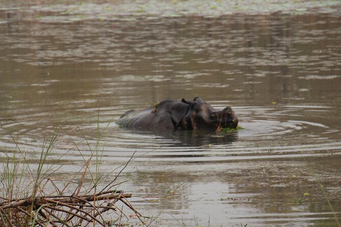 3-Day Chitwan National Park Jungle Safari Tour Package with Pick Up - Value Check: What Your $180 Buys (and What It Does Not)