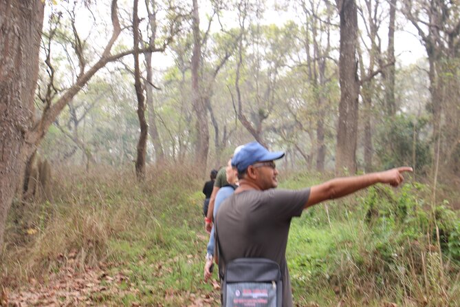 3-Day Chitwan National Park Jungle Safari Tour Package with Pick Up - Day 2 Starts Early: Rapti River Canoe Ride and Bird Time