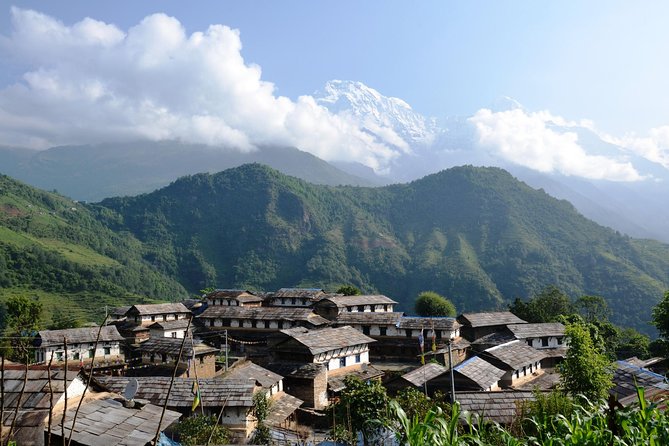 3-Day Ghandruk Loop Trek from Pokhara - Day 3 Pothana ridge views, forest walks to Phedi, and back to Pokhara