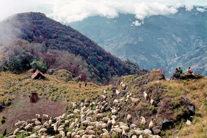 3-Day Ghandruk Loop Trek from Pokhara - Who should book the Ghandruk Loop trek (and who might want longer)