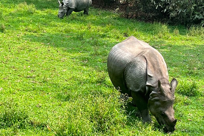 3-Day Guided Safari Tour in Chitwan National Park in Nepal - Kathmandu to Chitwan: the road trip that sets the tone