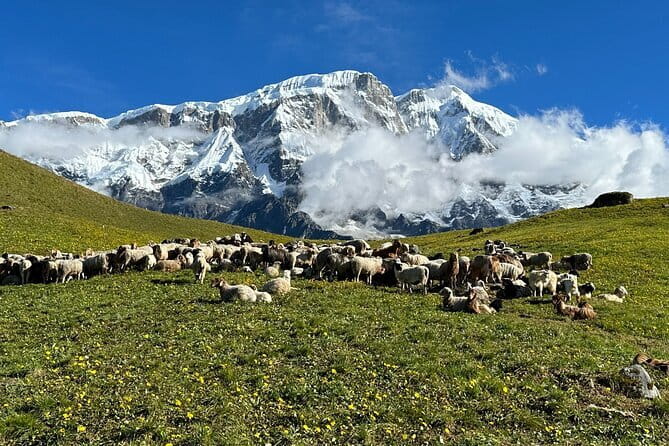 3 Day Kapuche Glacier Lake Trek with Siklesh from Pokhara - What the $195 price includes, and what you must pay yourself