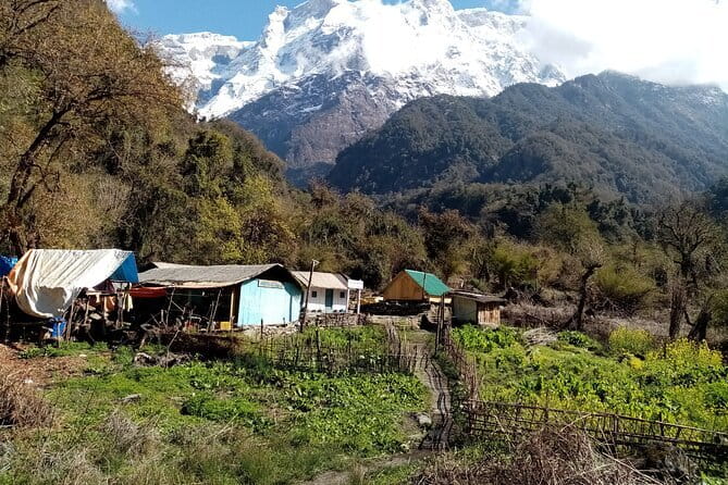 3 Day Kapuche Glacier Lake Trek with Siklesh from Pokhara - Who this trek is best for