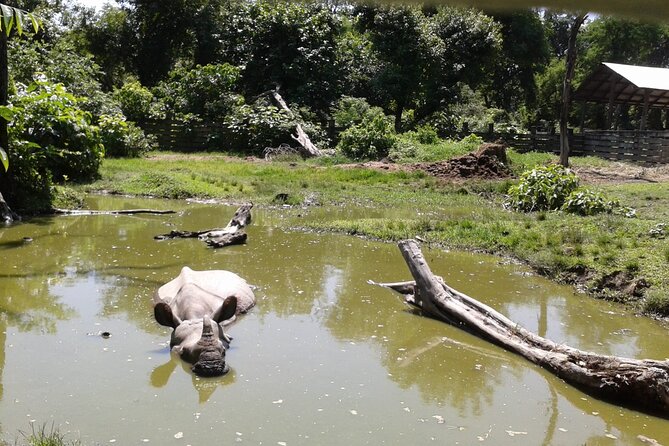 3 Days and 2 Nights Chitwan National Park Safari Tour in Pokhara - Price and value, what $215 actually buys