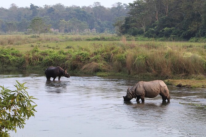 3 Days and 2 Nights Chitwan National Park Safari Tour in Pokhara - Who should book this Chitwan safari, and who should pause