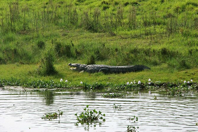 3 Days and 2 Nights Chitwan National Park Safari Tour in Pokhara - Day 2 6:30 am jeep safari plus elephant and canoe time