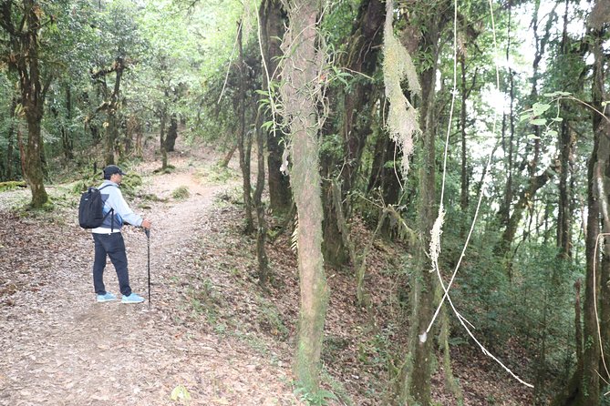 3 Night 4 Days Mardi Himal - Pokhara to Kande, then Australian Camp to Forest Camp (Day 1)