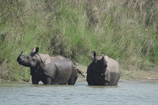 3 Nights 4 Days Bardia Tiger Tracking Tour | Bardia Jungle Safari - Key highlights you should know
