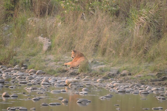 3 Nights 4 Days Bardia Tiger Tracking Tour | Bardia Jungle Safari - What’s included: meals, permits, and the “less admin” feeling