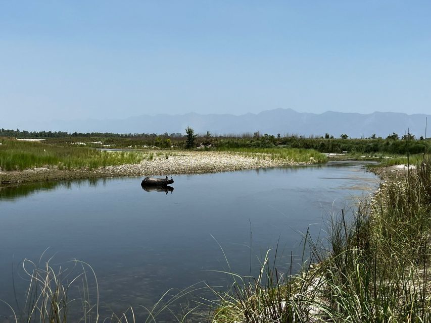 3 Nights 4 Days Chitwan National Park with Tower Night Stay - Wildlife expectations in Chitwan: what you should hope for, and what you shouldn’t force