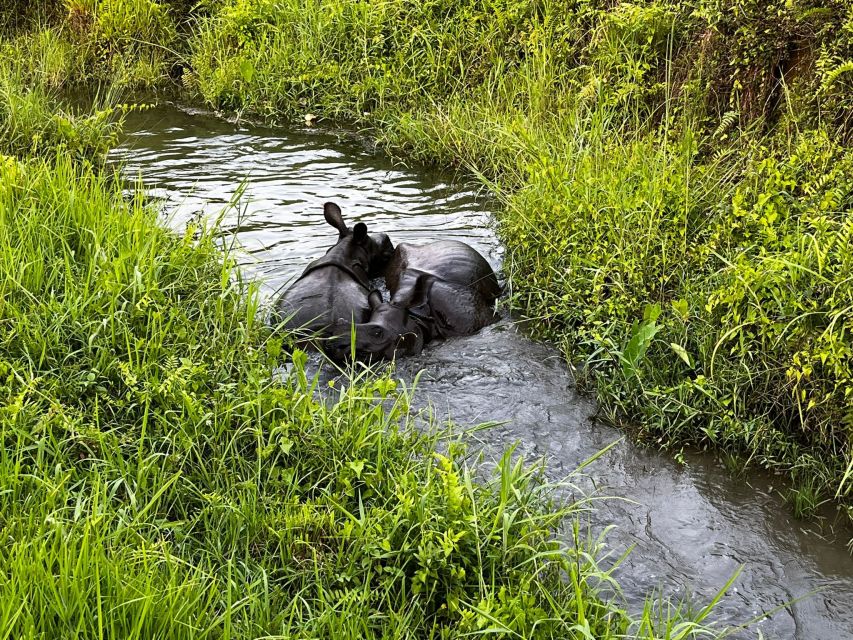 3 Nights 4 Days Chitwan National Park with Tower Night Stay - What’s included in the cost, and why it can be good value at $424
