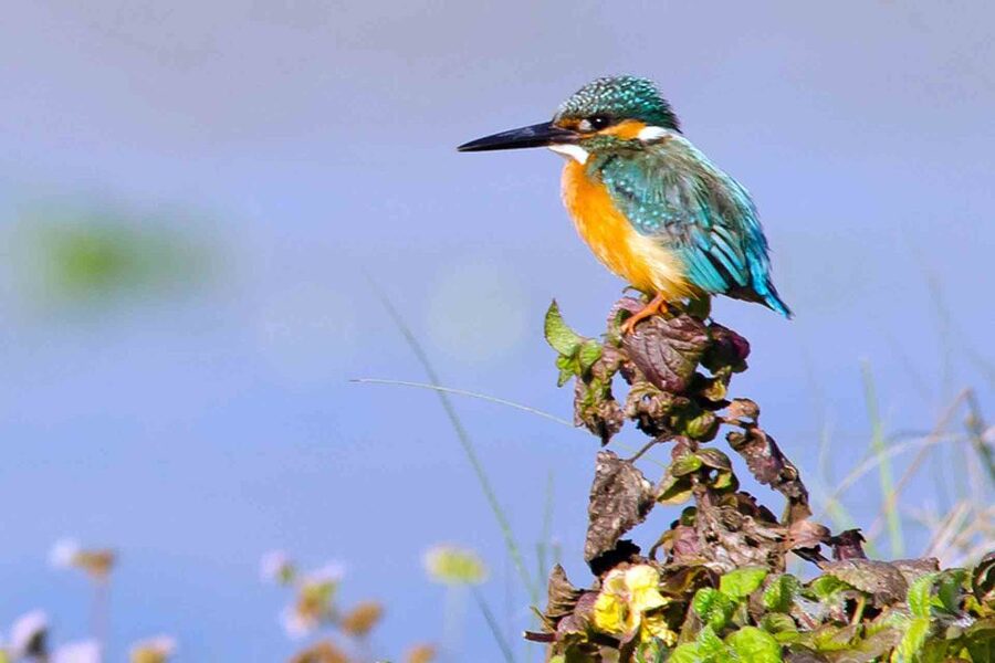 3 Nights 4 Days Chitwan National Park with Tower Night Stay - Best-fit travel style: who this trip suits, and who may feel let down