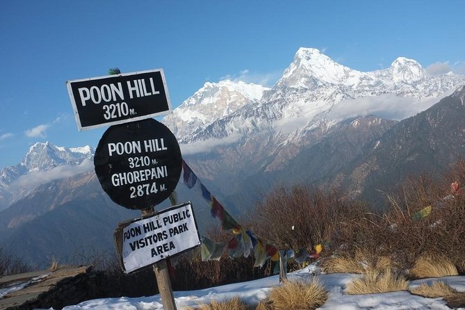4-day Poon Hill Trek - Poon Hill Sunrise: How to Make the Most of the Early Morning