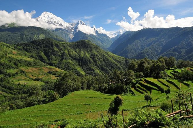 4-day Poon Hill Trek - Guide Power: Licensed Navigation and Purna’s Difference