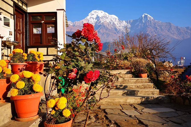 4-Day Private Poon Hill Trekking Tour - Price and value of $359, plus what you pay for yourself
