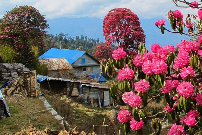 4-Day Private Poon Hill Trekking Tour - What to pack for teahouses and cold sunrise mornings