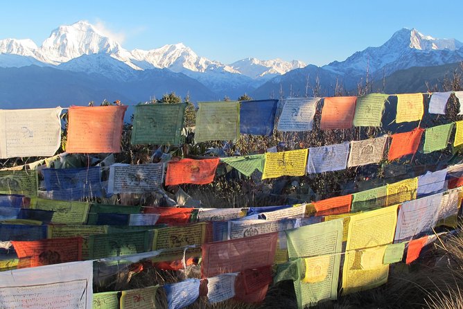 4-Day Private Poon Hill Trekking Tour - Day 2: Ghorepani rhododendron forests, waterfalls, and bridges