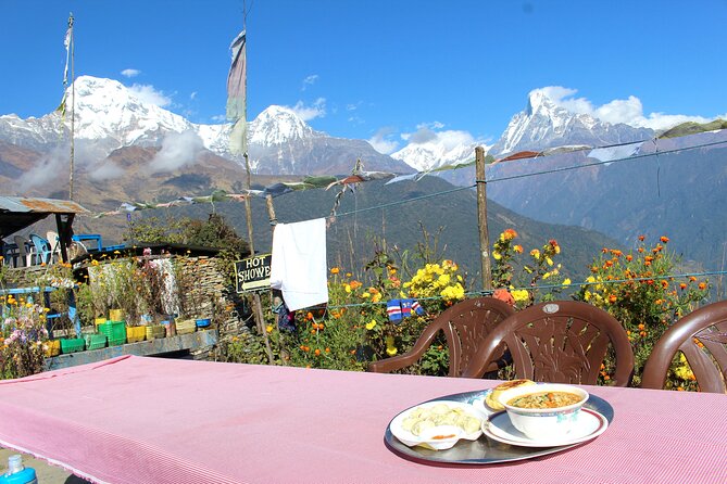 4-Day Private Trekking Experience to Poon Hill and Ghandruk - Ghorepani and the Rhododendron Forest: Night Views of 8,000m Peaks